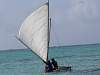 Tobi Canoe Sailing