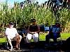 Suzette and Friends at Ifari Haparim