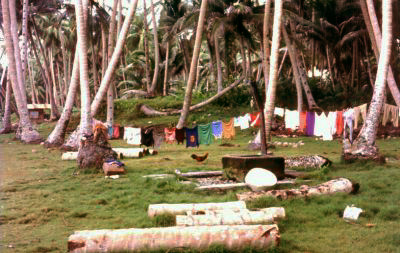 laundrytobirha.jpg (65442 bytes)