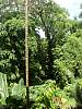 Palau's lushness