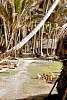 Tobi Island Village Scene