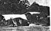 Dried bonita factory (10887 bytes)