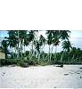 Tobi Island