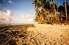 Tobi Island