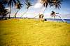Tobi Island