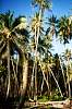 Tobi Island