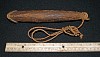 Phallus (A11), Tobi Island