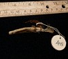 Fish hook (A45), Tobi Island