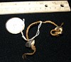 Earring (A72), Tobi Island