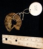 Pendant (A55), Tobi Island