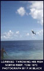 Tobi Island