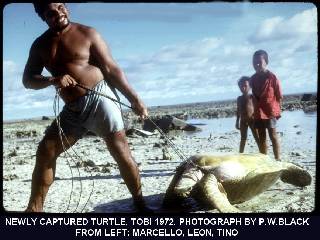 Tobi Island