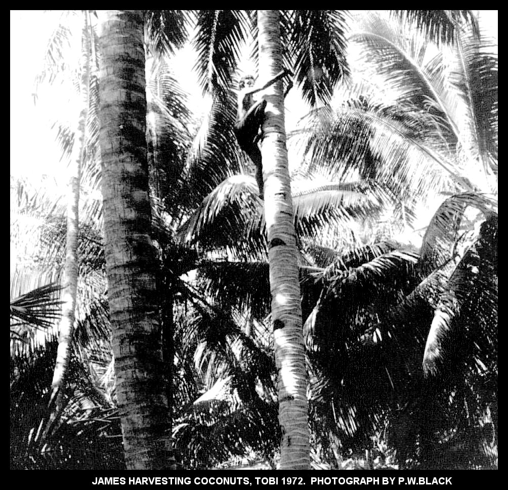 Tobi Island