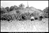 Tobi Island