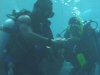 dom and richard diving2 0800.jpg (30162 bytes)