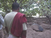 dom watching turtle0800 .jpg (84142 bytes)