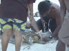peter and turtle 0800.jpg (63516 bytes)