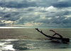 Helen Reef