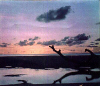 Helen Reef