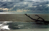 Helen Reef