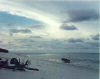 Helen Reef