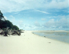 Helen Reef