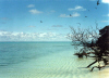 Helen Reef