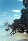 Helen Reef