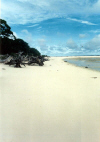 Helen Reef