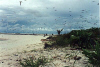 Helen Reef