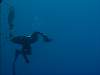 Spear Fishing