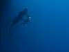 Spear Fishing