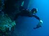 Spear Fishing