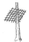 Charm  (16411 bytes)