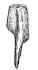 Spatula