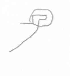 Canoe:  Paugh