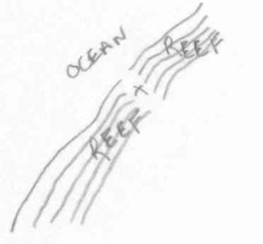 Drawing of reef