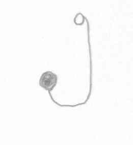 Baited hook
