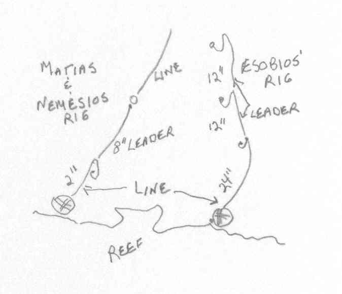 Fishing rig