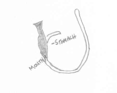 Baited hook