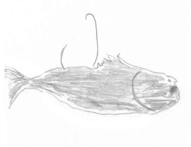 Baited hook