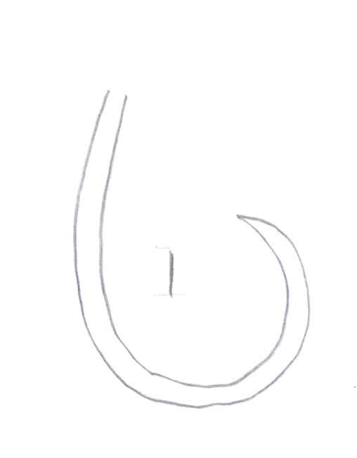 Hook:  Fahum