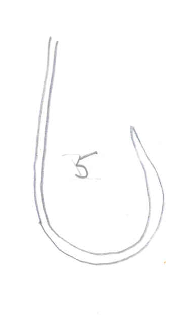 Hook:  Fotomahech