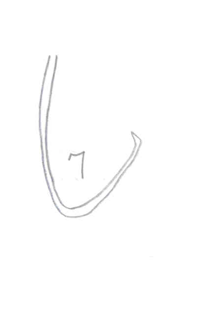 Hook:  Haufong