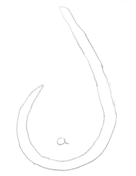 Hook:  Fahum