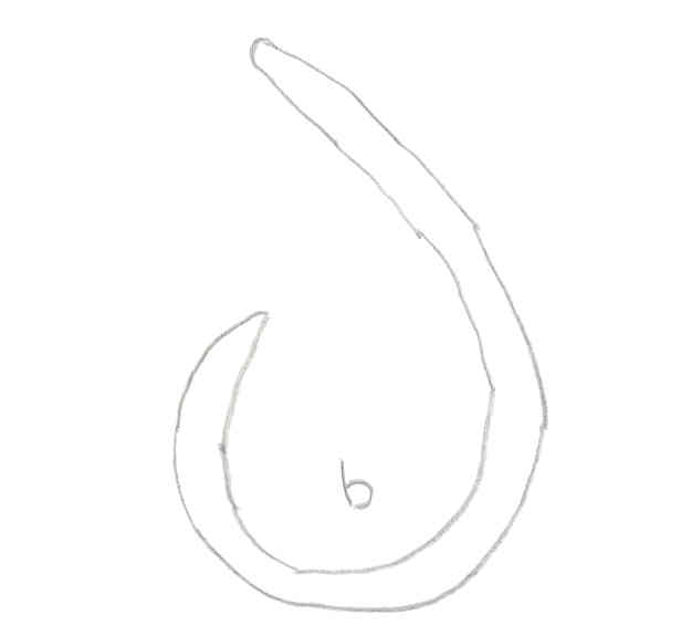 Hook:  Fahum