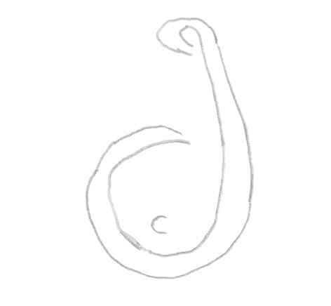 Hook:  Fahum