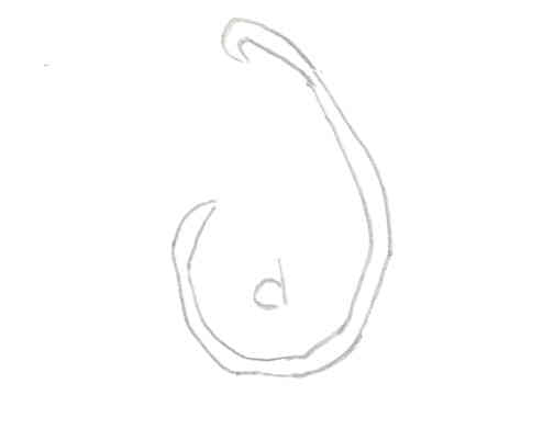 Hook:  Fahum