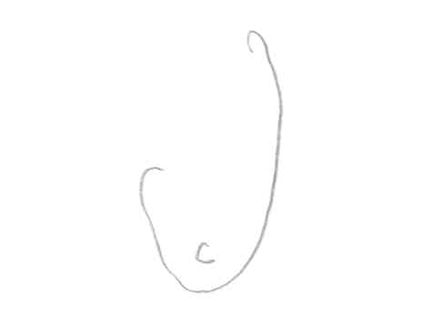 Hook:  Haufong