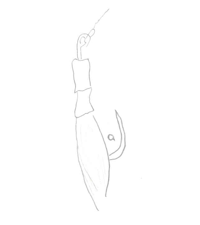 Hook:  Fotomahech